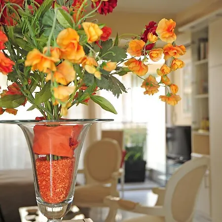Studio Splendid Five Stars Holiday House